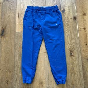 Everlane Track Pant Jogger in Cobalt Blue